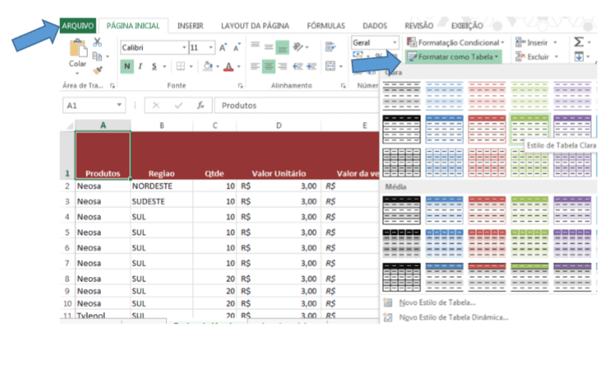 Segmentação de Dados em uma Tabela Doutores do Excel 2024